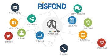 北京人力資源服務(wù)網(wǎng) 人力信息咨詢的多維價(jià)值與實(shí)踐路徑